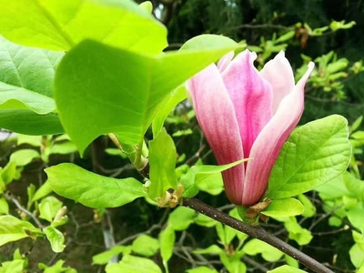 生生不息，意由心生 解讀生意之本與批發貿易之道